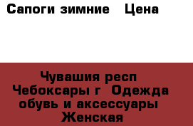 Сапоги зимние › Цена ­ 500 - Чувашия респ., Чебоксары г. Одежда, обувь и аксессуары » Женская одежда и обувь   